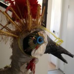 Nieuwsbrief Kroontje, de Kraanvogel foto (10)